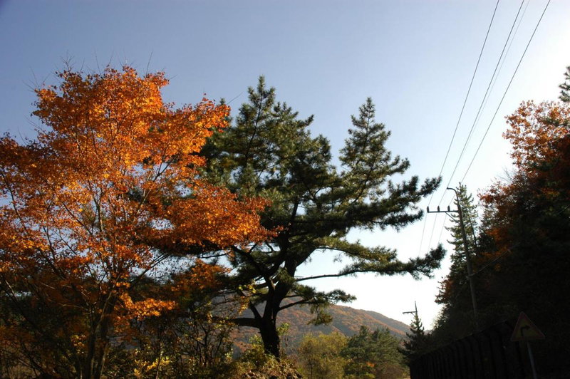 Namhae Neuhaus, Namhae, 대한민국