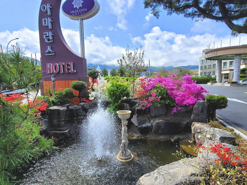 Hotel Amaranth, Sokcho, 대한민국