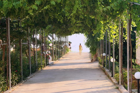 Belussi Beach Hotel & Suites, Kipseli, Greece