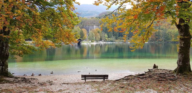 Zajček Apartma, Mojstrana, Slovenia
