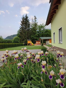 Apartments and Wellness Jelovca, Kranj, Slovenia