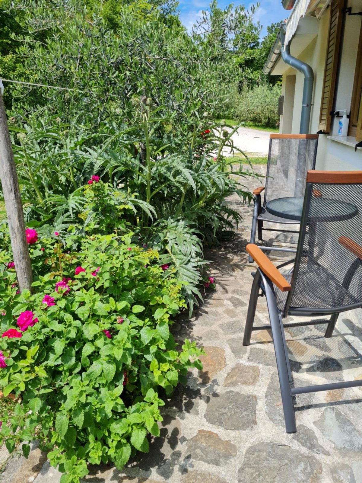 Apartma Istra Zora, Eslovenia
