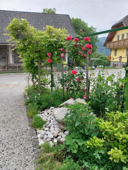 Sobe U Sirrc, Kranj, Slovenia
