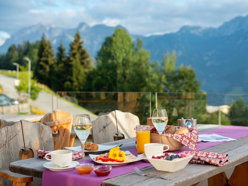 Natur- und Wellnesshotel Höflehner, Haus im Ennstal, Austria