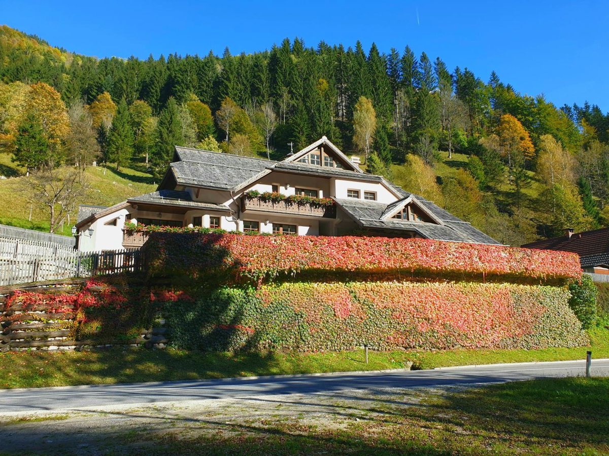 Hôtel · Apartments Pod macesnovo streho, Solčava