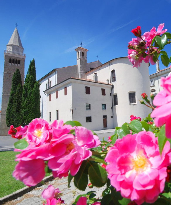 Razgled/The View, Koper, Slovenia