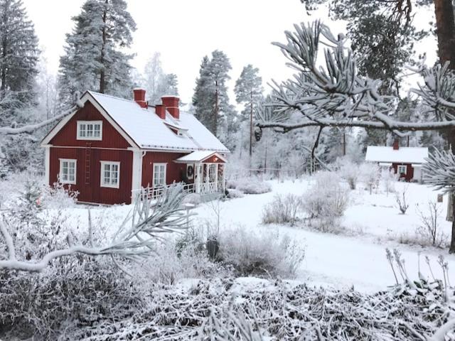 Villa Tammikko, Tuusula, Finland
