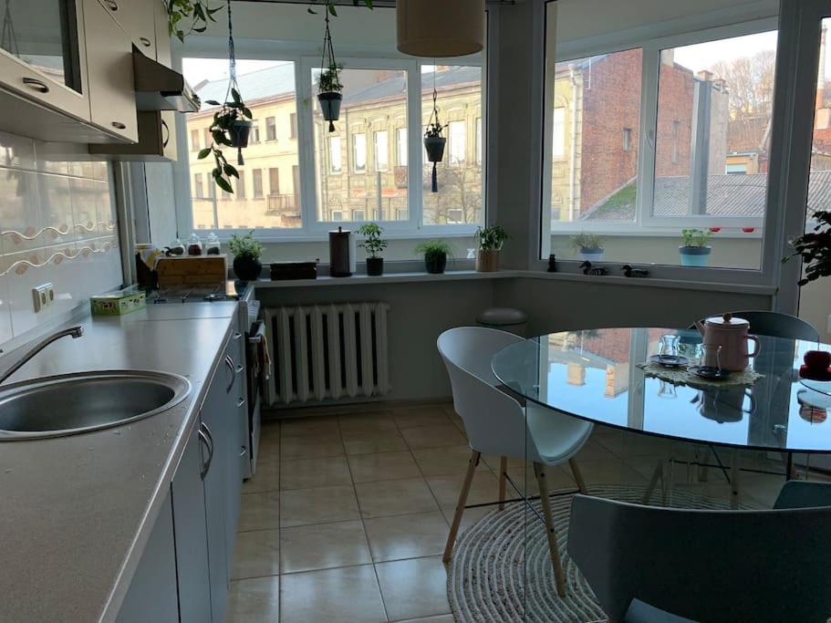 Three bedroom with two terraces for 7people+baby, Lithuania
