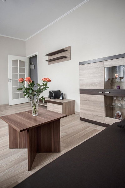 Valeri Aprtment, Kaunas, Lithuania