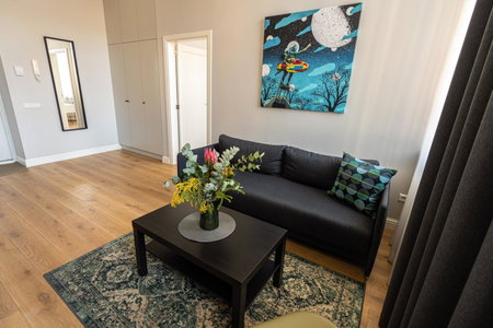 Beautiful apartment in the heart of Kaunas, Kaunas, Lithuania
