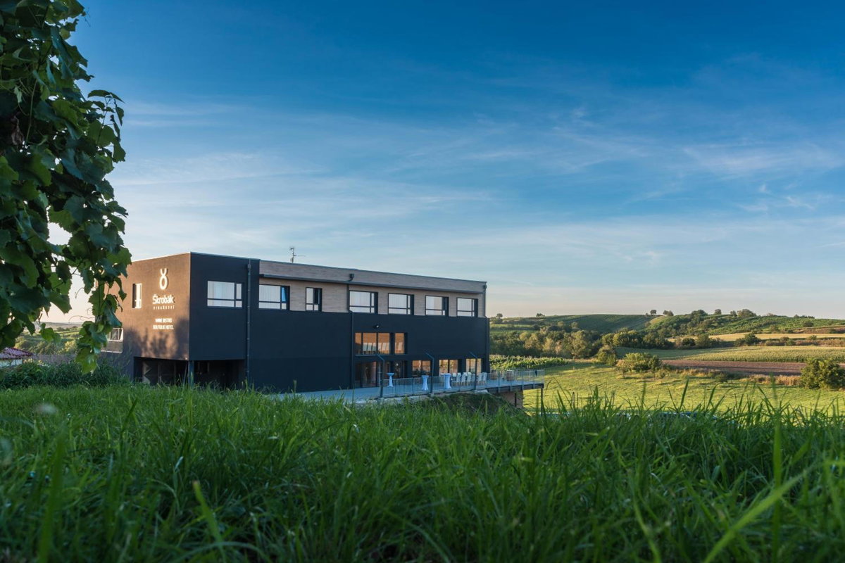 Hotel · Boutique Hotel Vinařství Škrobák, Hodonin