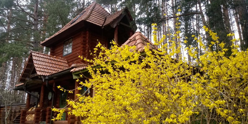 Villa Georgia, Aardla, Estonia