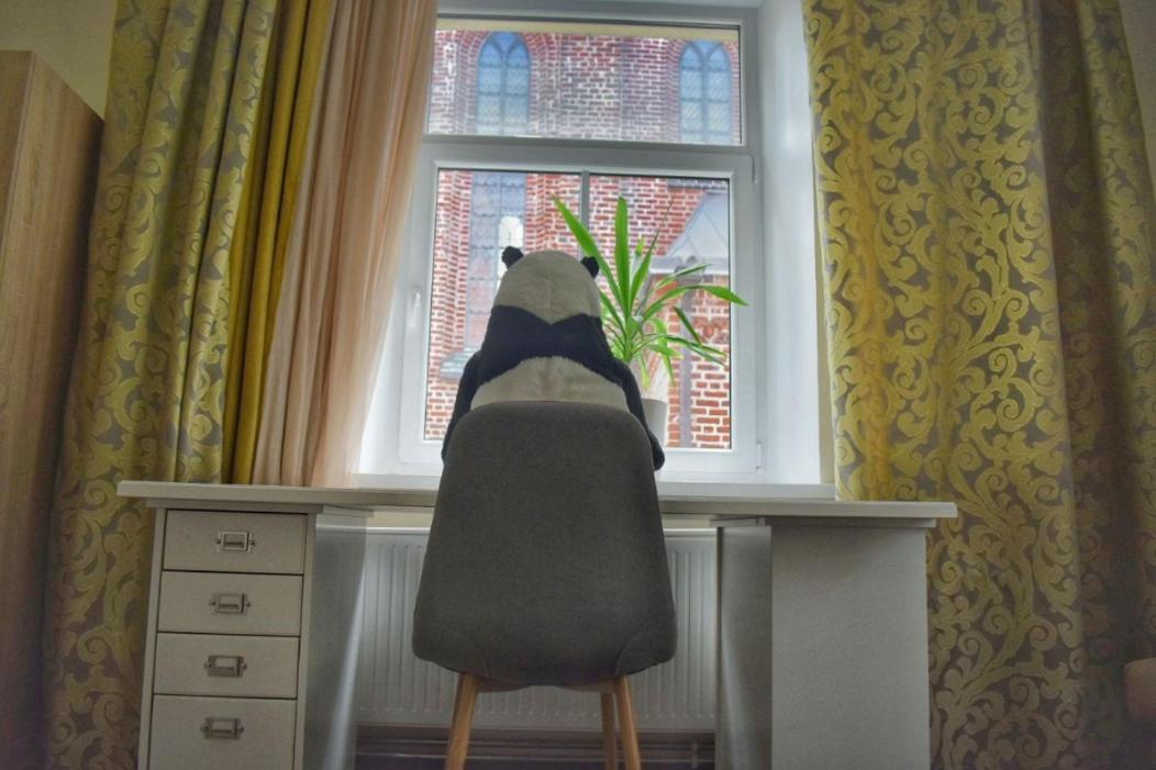 Отель · Panda House - Luxury in Old Town, Tartu