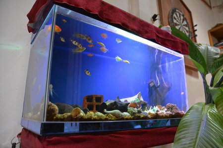 Happy Family Guesthouse, Vinh Long, Việt Nam