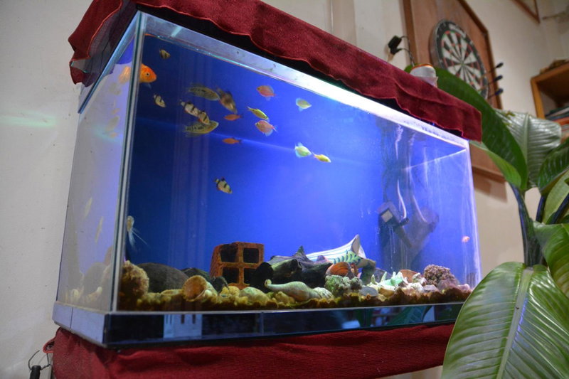 Happy Family Guesthouse, Vinh Long, Việt Nam