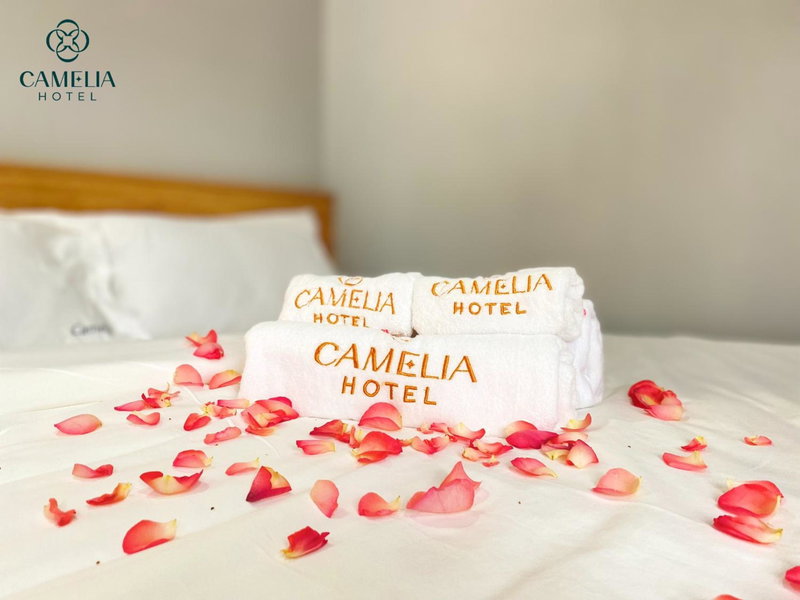 Camelia 108 Le Lai Hotel, Thành phố Hồ Chí Minh, Việt Nam
