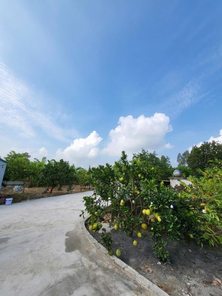 Tam Coc Pomelo Garden By ANMS GROUP, Ninh Binh, Vietnam