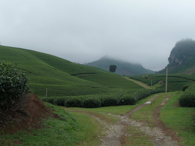 Mai Chau Valley View Hotel, Mai Chau, Việt Nam