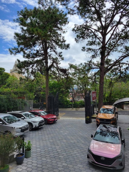 Savio Hotel Trieu Viet Vuong, Da Lat, Việt Nam