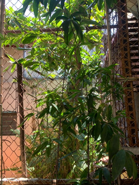 Huong’s Family homestay, Hà Nội, Việt Nam
