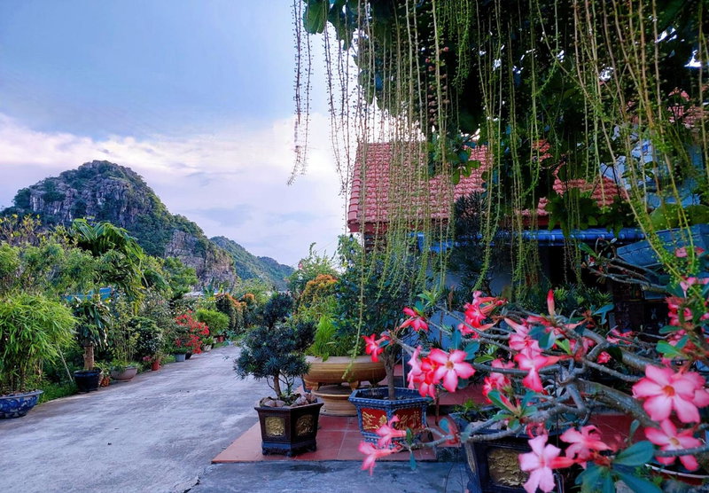 Ninh Binh Green Farmstay, Ninh Binh, Việt Nam