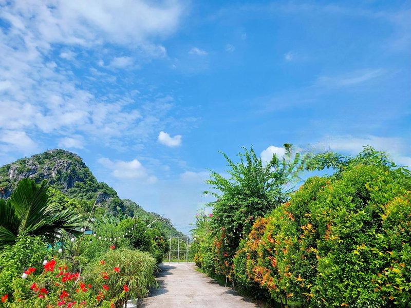Ninh Binh Green Farmstay, Ninh Binh, Việt Nam
