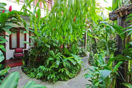 Shewe Wana Boutique Hotel, Chiang Mai, ประเทศไทย