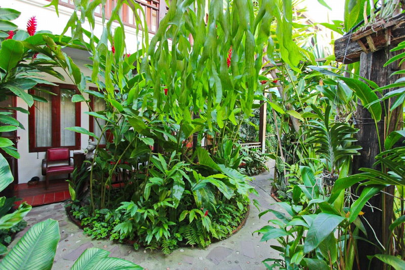 Shewe Wana Boutique Hotel, Chiang Mai, ประเทศไทย