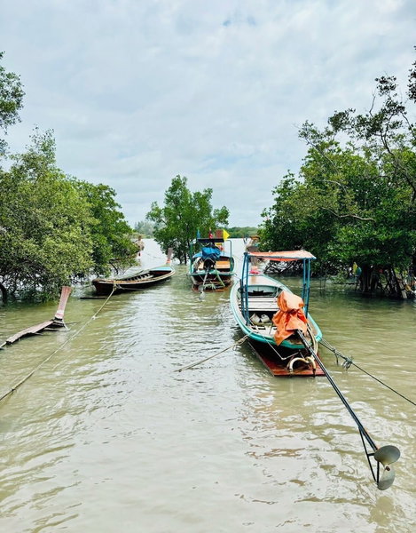 Treeya Lanta, Ko Lanta, ประเทศไทย