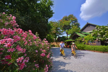Thai Thai Sukhothai Resort, Ban Na, ประเทศไทย