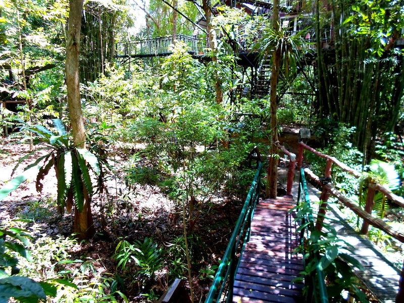 Khao Sok Tree House, Phanom, ประเทศไทย