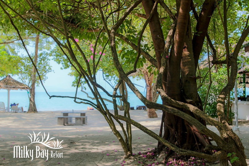 Milky Bay Resort, Ko Samui, ประเทศไทย
