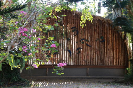 Viva Vacation Resort, Ko Samui, ประเทศไทย