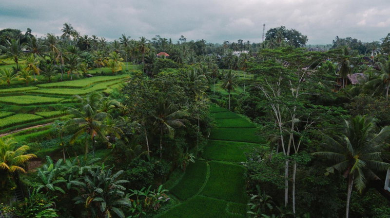 River Sakti Ubud by Prasi, Ubud, Indonesia