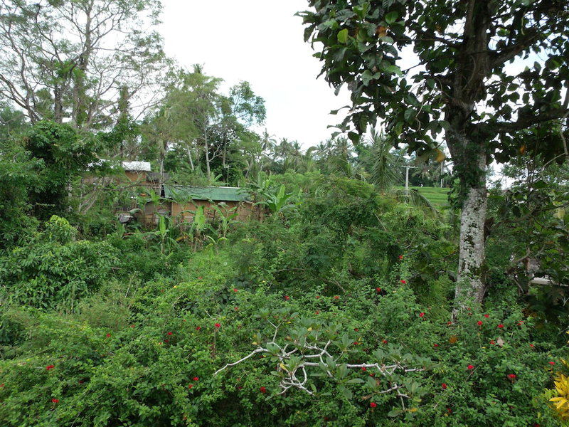 Wenara Bali Bungalow, Ubud, 인도네시아 공화국