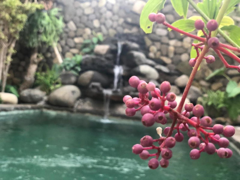 Melati Bali 2, Kuta, Indonesia