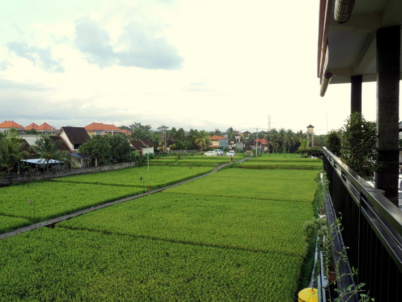 Adi Bisma Inn Ubud by Mahaputra, Ubud, Indonesia