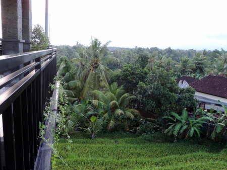 Adi Bisma Inn Ubud by Mahaputra, Ubud, Indonesia