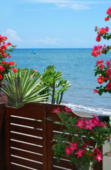 Frangipani Beach Hotel, 반자르, 인도네시아 공화국
