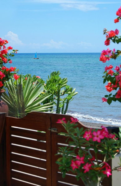 Frangipani Beach Hotel, 반자르, 인도네시아 공화국