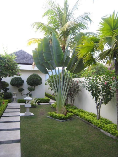 Frangipani Beach Hotel, 반자르, 인도네시아 공화국
