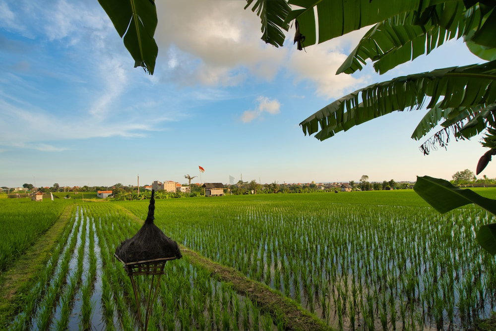 Sotis Villa Canggu, Indonesia