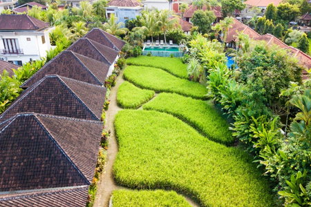 Abipraya Ubud, Ubud, Indonesia