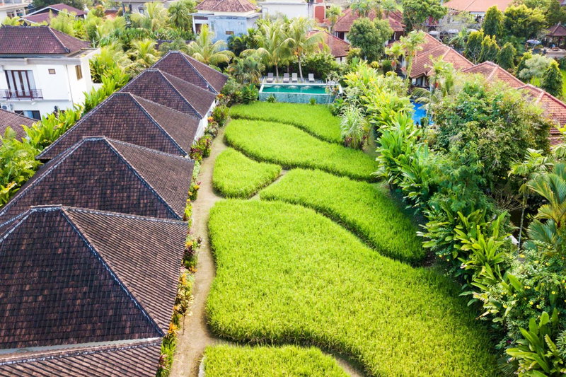 Abipraya Ubud, Ubud, Indonesia