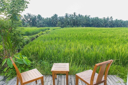Solo Villas & Retreat, Ubud, Indonesia