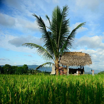 Sanak Retreat Bali, 반자르, 인도네시아 공화국