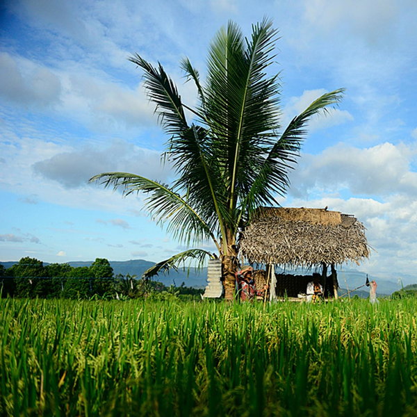 Sanak Retreat Bali, 반자르, 인도네시아 공화국