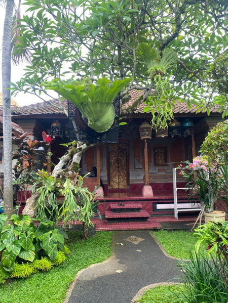 Suryadina Guest House, Ubud, 인도네시아 공화국