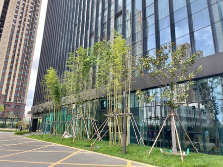 Fairfield by Marriott Zibo, Zibo, 中国