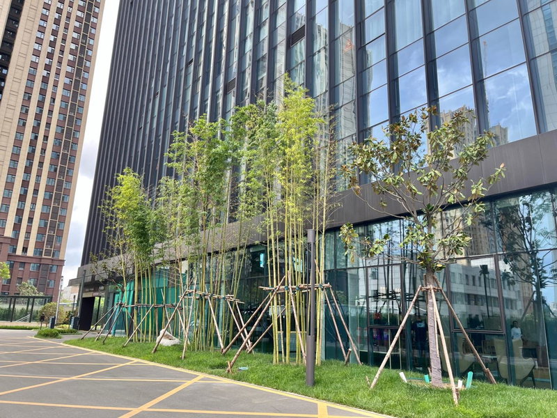 Fairfield by Marriott Zibo, Zibo, 中国